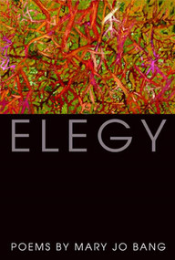 Elegy (Poems) - 9781555975401 by Mary Jo Bang, 9781555975401