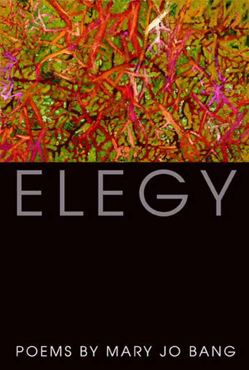 Elegy (Poems) - 9781555975401 by Mary Jo Bang, 9781555975401