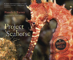 Project Seahorse - 9780544225800 by Pamela S. Turner, Scott Tuason, 9780544225800