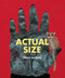 Actual Size - 9780547512914 by Steve Jenkins, 9780547512914