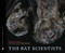 The Bat Scientists - 9780547199566 by Mary Kay Carson, Tom Uhlman, 9780547199566