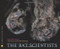 The Bat Scientists - 9780547199566 by Mary Kay Carson, Tom Uhlman, 9780547199566