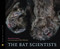 The Bat Scientists - 9780547199566 by Mary Kay Carson, 9780547199566