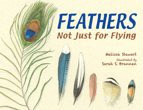 Feathers (Not Just for Flying) - 9781580894319 by Melissa Stewart, Sarah S. Brannen, 9781580894319