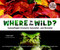 Where in the Wild? (Camouflaged Creatures Concealed... and Revealed) by David M. Schwartz, Dwight Kuhn, Yael Schy, 9781582463995