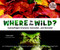 Where in the Wild? (Camouflaged Creatures Concealed... and Revealed) by David M. Schwartz, Dwight Kuhn, Yael Schy, 9781582463995