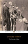 The Descent of Man - 9780140436310 by Charles Darwin, James Moore, Adrian Desmond, 9780140436310
