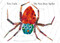 The Very Busy Spider - 9780399229190 by Eric Carle, 9780399229190