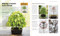 Bonsai by DK, 9781465419583