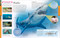 Ocean: A Visual Encyclopedia by DK, John Woodward, 9781465435941