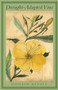 Drought-Adapted Vine by Donald Revell, 9781938584138
