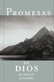 Promesas de Dios para cada una de tus necesidades (Spanish Edition) by Jack Countryman, 9781602553514