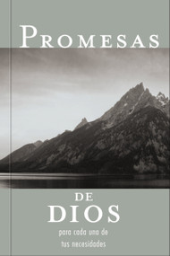 Promesas de Dios para cada una de tus necesidades (Spanish Edition) by Jack Countryman, 9781602553514