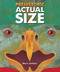 Prehistoric Actual Size - 9780544582385 by Steve Jenkins, 9780544582385