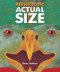 Prehistoric Actual Size - 9780544582385 by Steve Jenkins, 9780544582385