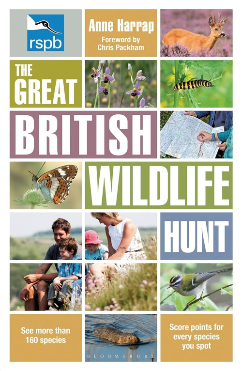 RSPB The Great British Wildlife Hunt by Anne Harrap, 9781408180372