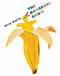 The Nonsense Show by Eric Carle, Eric Carle, 9780399176876