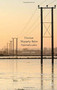 Victorian Telegraphy Before Nationalization by Simone Fari, 9781137406514