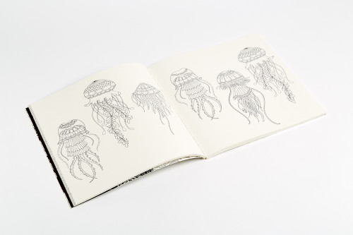 Lost Ocean (An Inky Adventure and Coloring Book for Adults) by Johanna Basford, 9780143108993