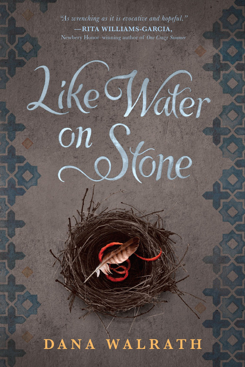 Like Water on Stone by Dana Walrath, 9780385743983