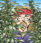 The Weed Whisperer (A Doonesbury Book) by G. B. Trudeau, 9781449472245