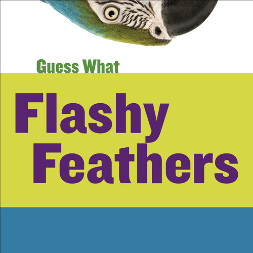 Flashy Feathers (Macaw) by Kelly Calhoun, Timothy Cap, 9781633626263