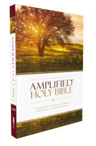 Amplified Holy Bible, Paperback (Captures the Full Meaning Behind the Original Greek and Hebrew) by Zondervan, 9780310443902