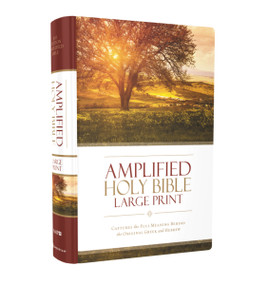 Amplified Holy Bible, Large Print, Hardcover (Captures the Full Meaning Behind the Original Greek and Hebrew) by Zondervan, 9780310444039