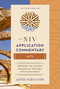 Acts - 9780310494102 by Ajith Fernando, 9780310494102