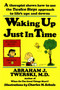Waking up Just in Time (A Therapist Shows How to Use the Twelve Steps Approach to Life's Ups and Downs) by Abraham J. Twerski, M.D., Charles M. Schultz, 9780312132071