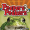 Peepers & Peekers by Stan Tekiela, 9781591934233
