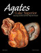Agates of Lake Superior (Stunning Varieties and How They Are Formed) by Bob Lynch, Dan Lynch, 9781591933724