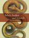 Seba's Snakes and Lizards (240 Illustrations) by Albertus Seba, 9780486453682