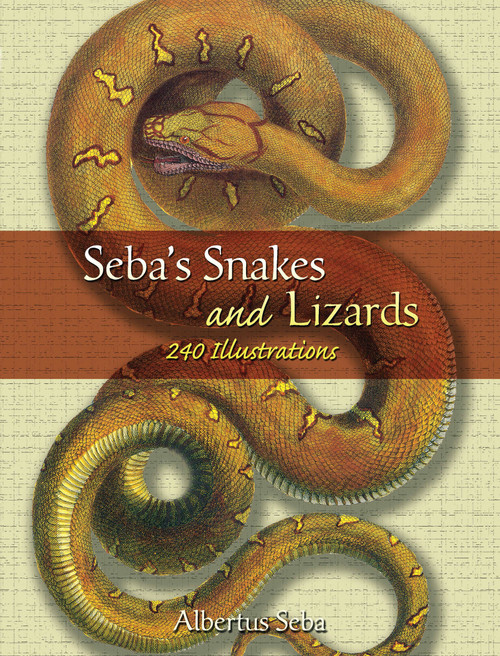 Seba's Snakes and Lizards (240 Illustrations) by Albertus Seba, 9780486453682