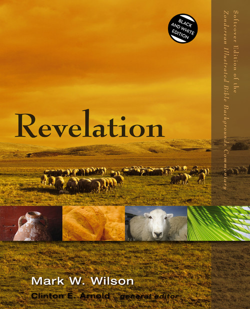 Revelation - 9780310523093 by Mark W. Wilson, Clinton E. Arnold, 9780310523093