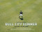 Bull City Summer: A Season At The Ballpark by Sam Stephenson, Howard L. Craft, Adam  Sobsey, Emma D. Miller, Hiroshi Watanabe, 9780988983168