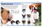 Pocket Genius Dogs (Facts at Your Fingertips) - 9781465445858 by DK