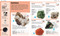 Pocket Genius Rocks and Minerals (Facts at Your Fingertips) by DK, 9781465445902