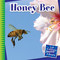 Honey Bee - 9781633626812 by Katie Marsico, 9781633626812