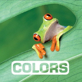 Colors - 9780544512641 by Marie Vendittelli, 9780544512641