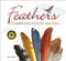 Feathers (A Beautiful Look at a Bird's Most Unique Feature) by Stan Tekiela, 9781591934936