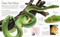Snake (The Essential Visual Guide) by Chris Mattison, 9781465443793