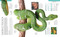 Snake (The Essential Visual Guide) by Chris Mattison, 9781465443793