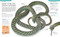 Snake (The Essential Visual Guide) by Chris Mattison, 9781465443793