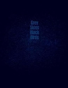 Grey Skies, Black Birds by Stephanie Borcard, Nicolas  Metraux, 9781910401057
