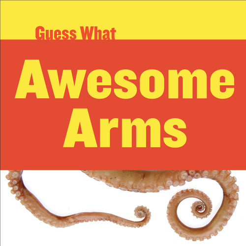 Awesome Arms (Octopus) by Felicia Macheske, Timothy Cap, 9781634707183