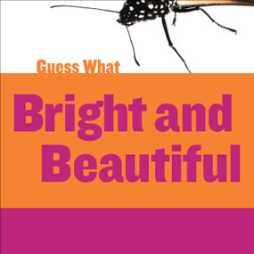 Bright and Beautiful (Butterfly) by Felicia Macheske, Timothy Cap, 9781634707213