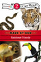 Rainforest Friends by  Zondervan, 9780310721826