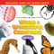 Weird and Wonderful Creations by  Zondervan, 9780310731245