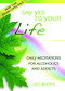 Say Yes to Your Life (Daily Meditations for Alcoholics and Addicts) by Leo Booth, 9780757307645